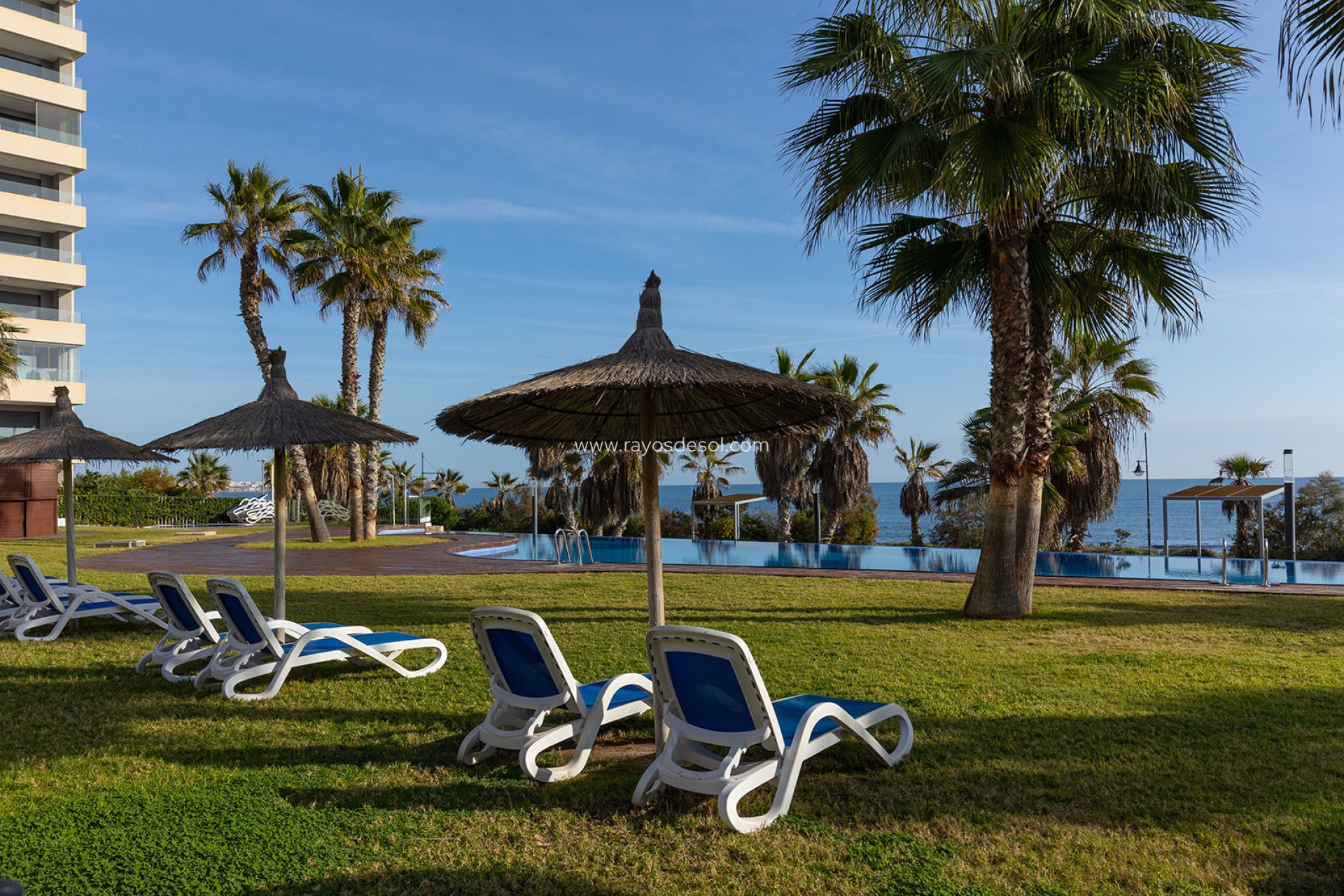 Wiederverkauf - Penthouse - Torrevieja - Punta Prima