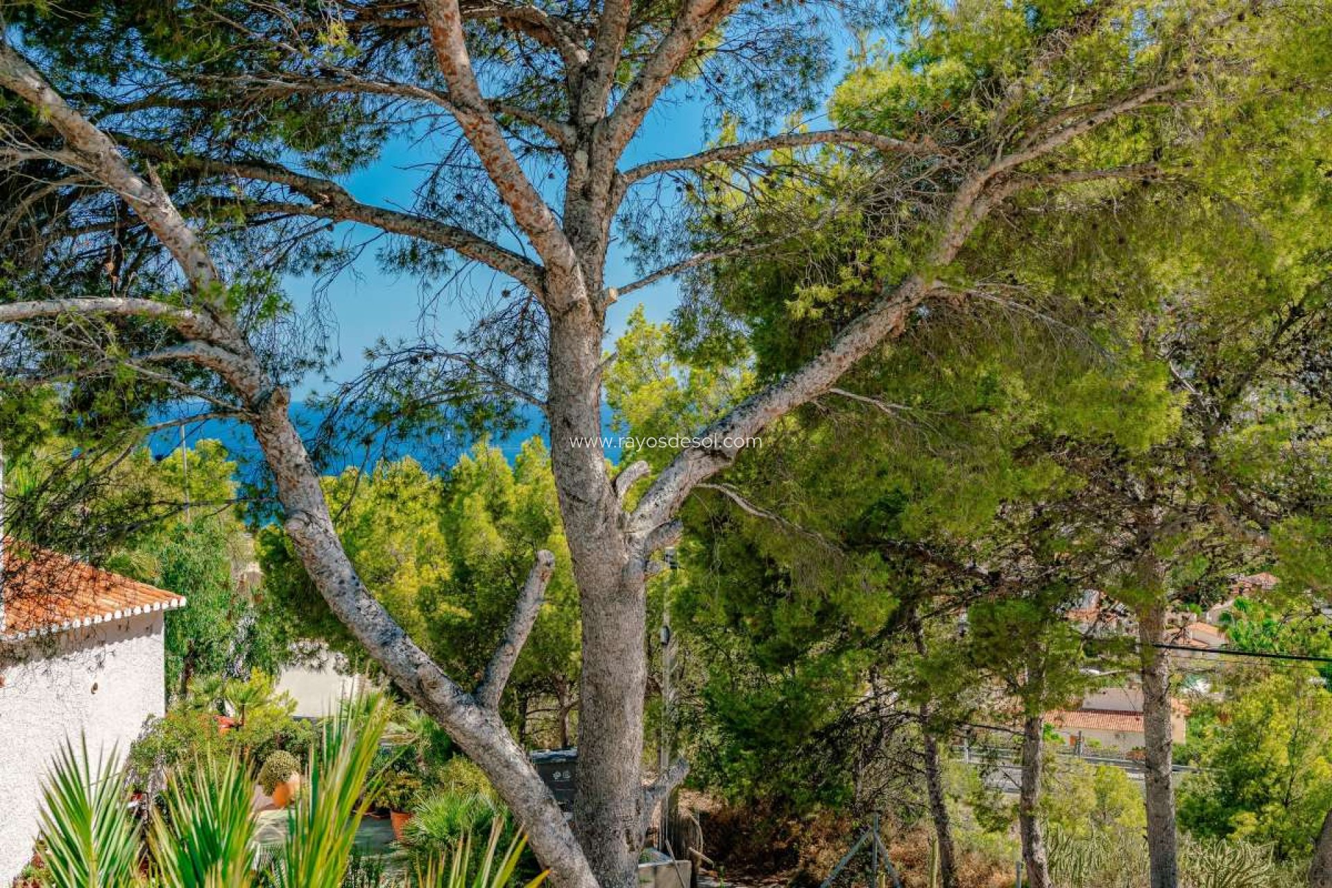Wiederverkauf - Villa - Calpe
