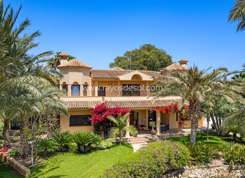 Wiederverkauf - Villa - Elche - Elche/Elx