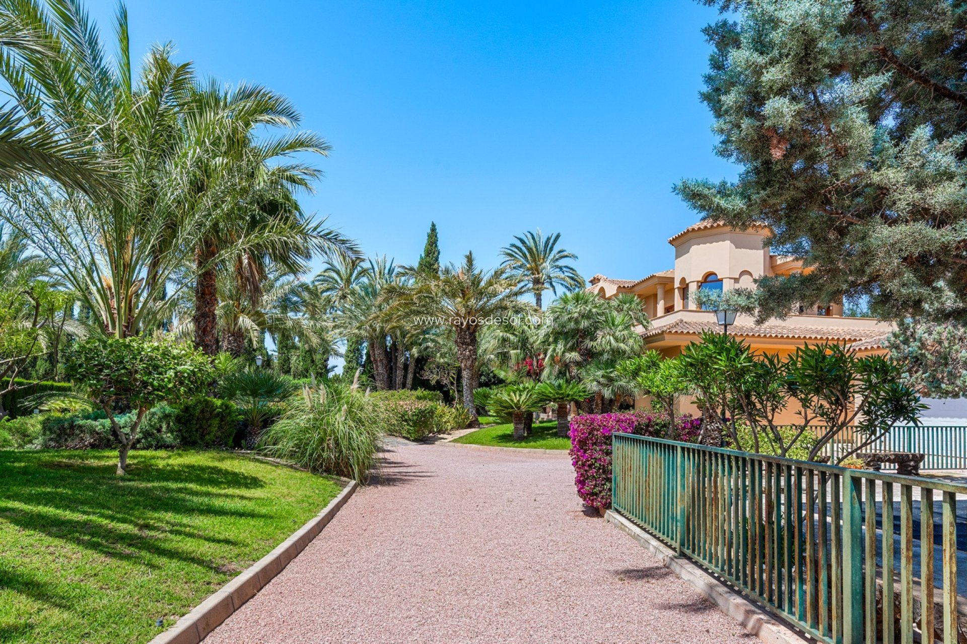 Wiederverkauf - Villa - Elche - Elche/Elx