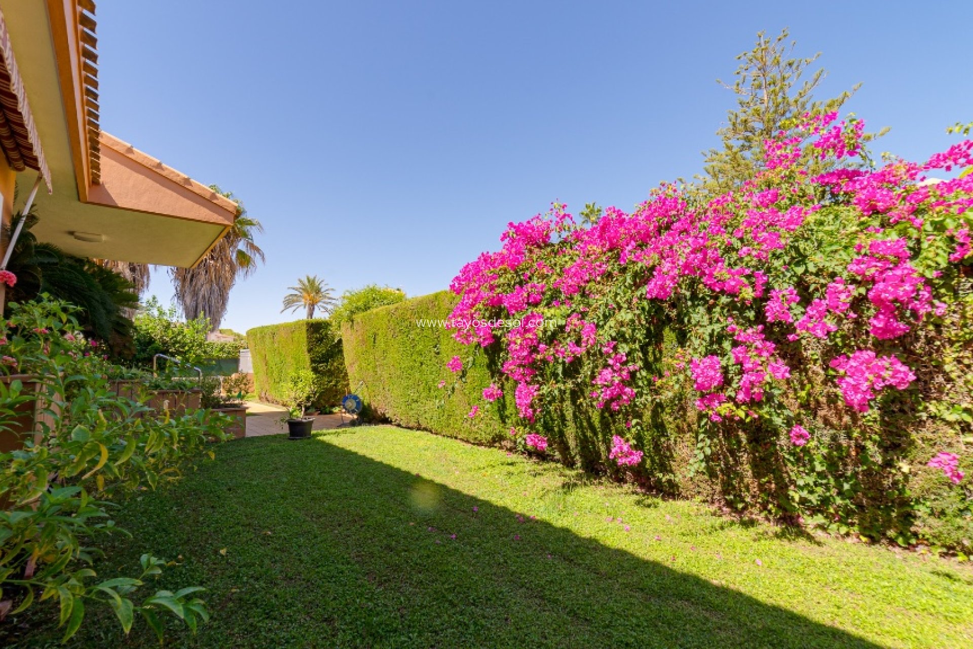 Wiederverkauf - Villa - Orihuela Costa - Campoamor