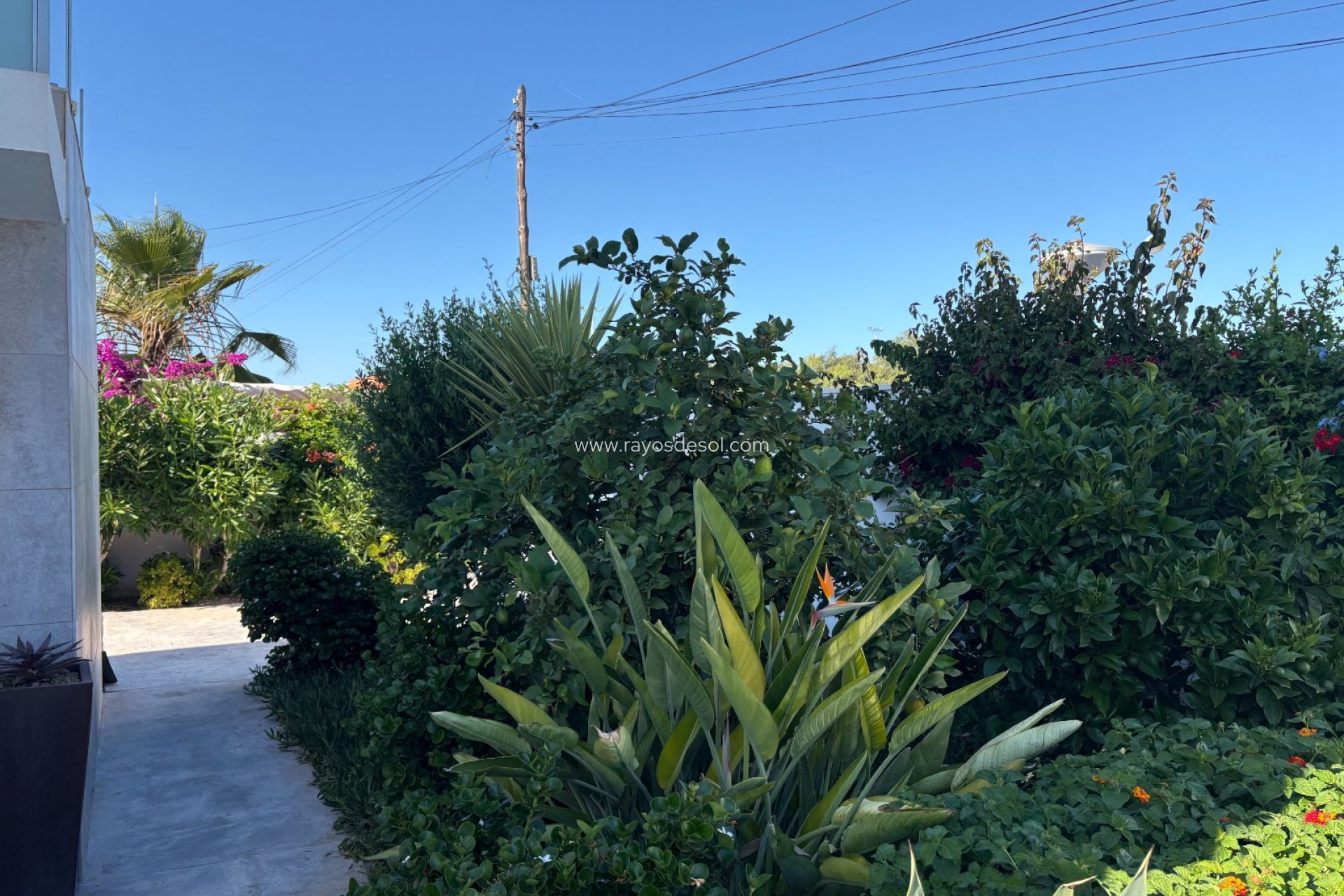 Wiederverkauf - Villa - Torrevieja - Torreta - Florida