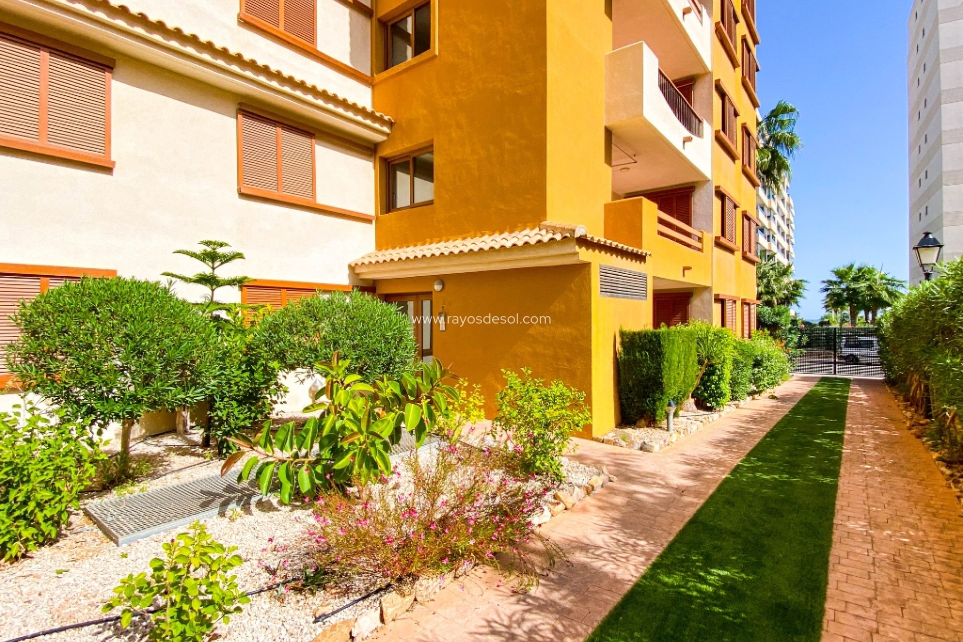 Wiederverkauf - Wohnung - Torrevieja - Punta Prima